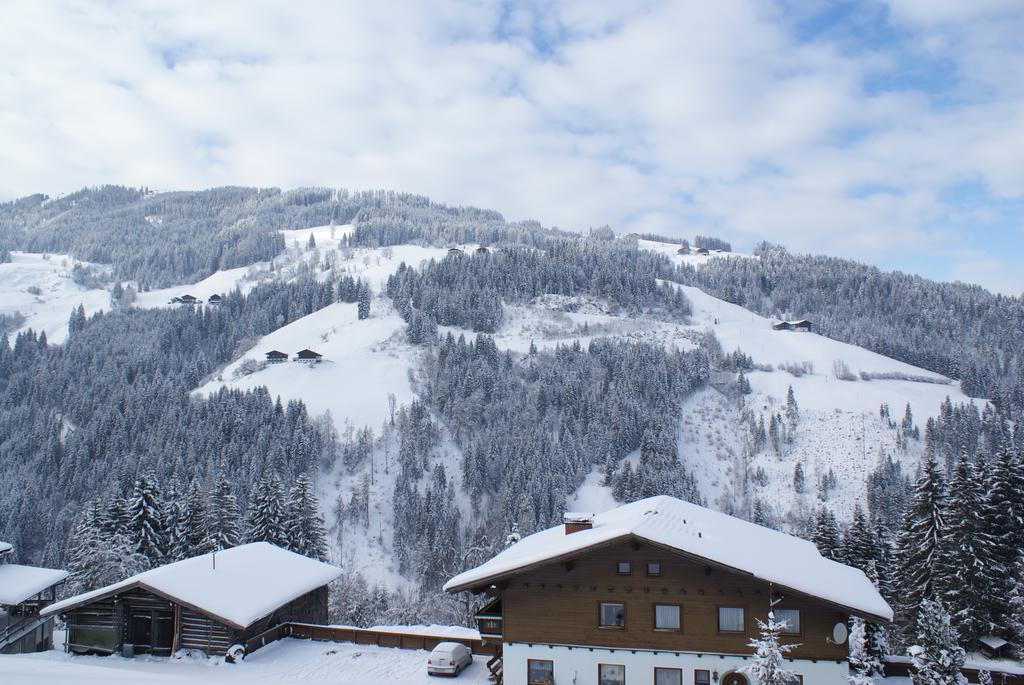 Pension Chalet Bergseegut Ваграйн Экстерьер фото