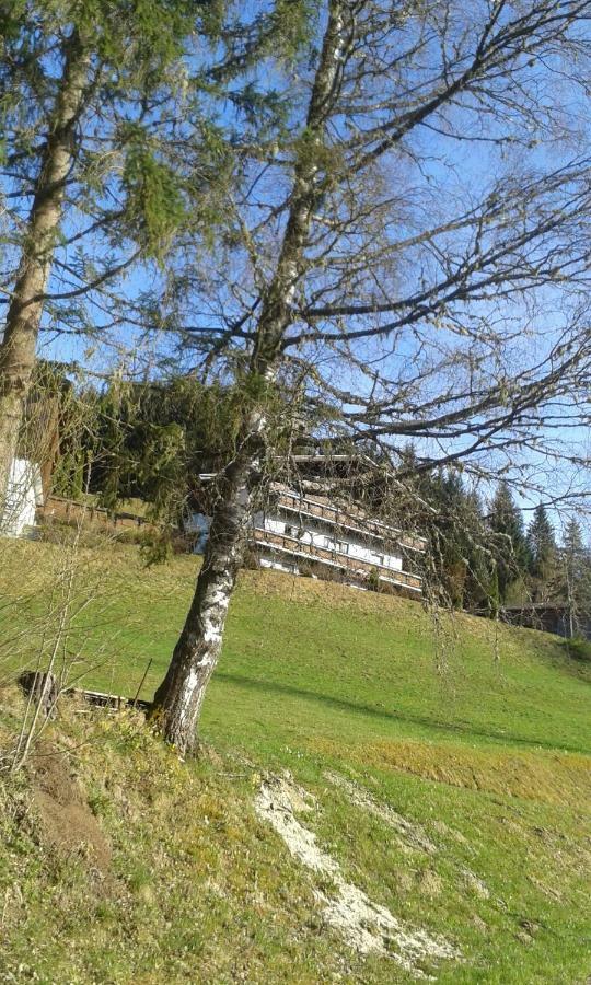 Pension Chalet Bergseegut Ваграйн Экстерьер фото