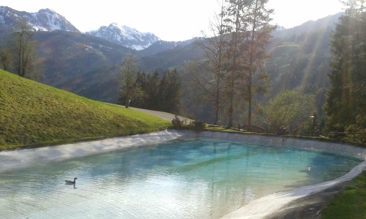 Pension Chalet Bergseegut Ваграйн Экстерьер фото