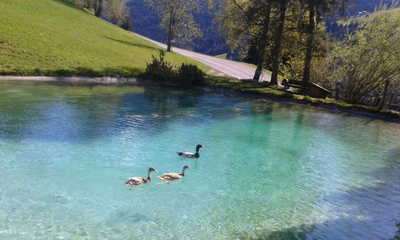 Pension Chalet Bergseegut Ваграйн Экстерьер фото