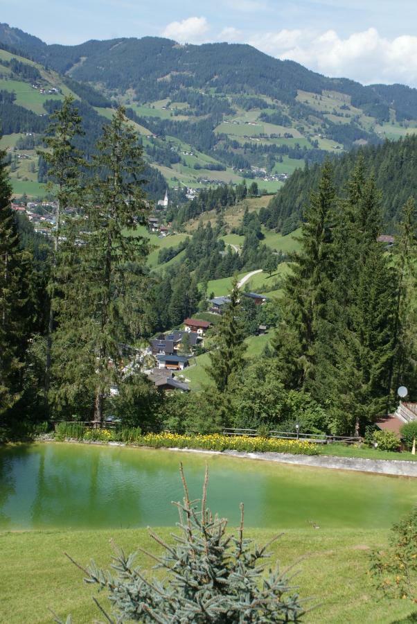 Pension Chalet Bergseegut Ваграйн Экстерьер фото
