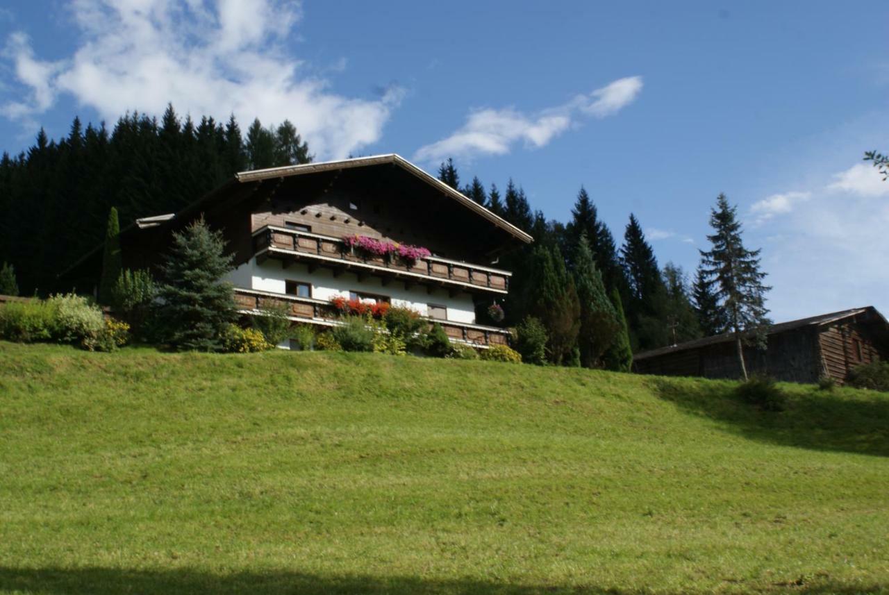 Pension Chalet Bergseegut Ваграйн Экстерьер фото