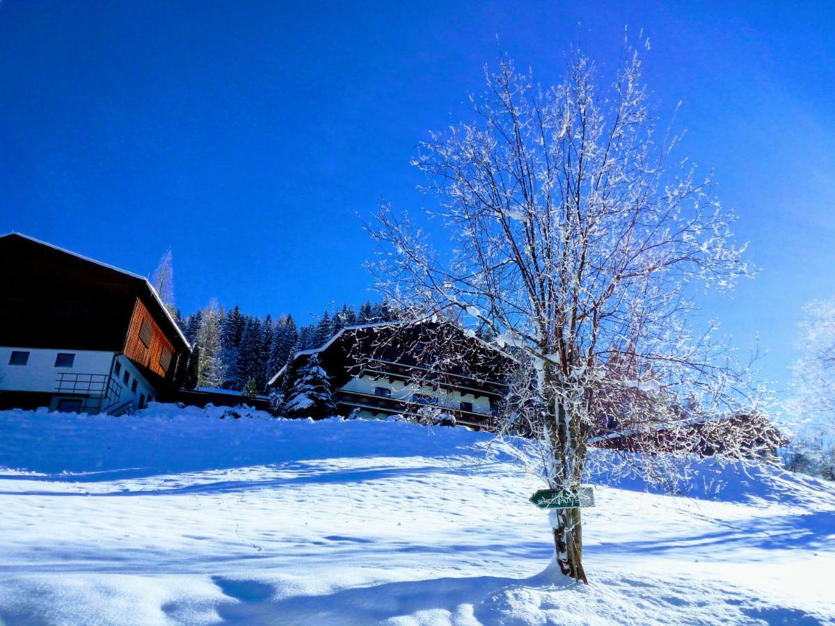 Pension Chalet Bergseegut Ваграйн Экстерьер фото
